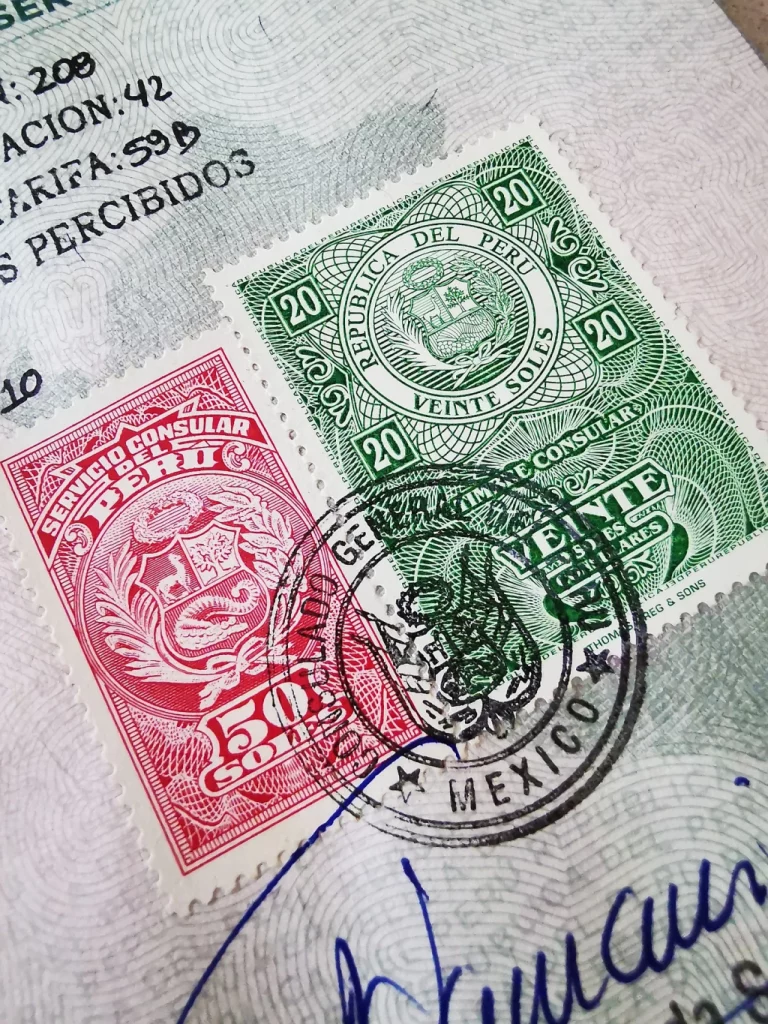 Vize hakkında